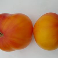 Grandma Viney's Yellow and Pink